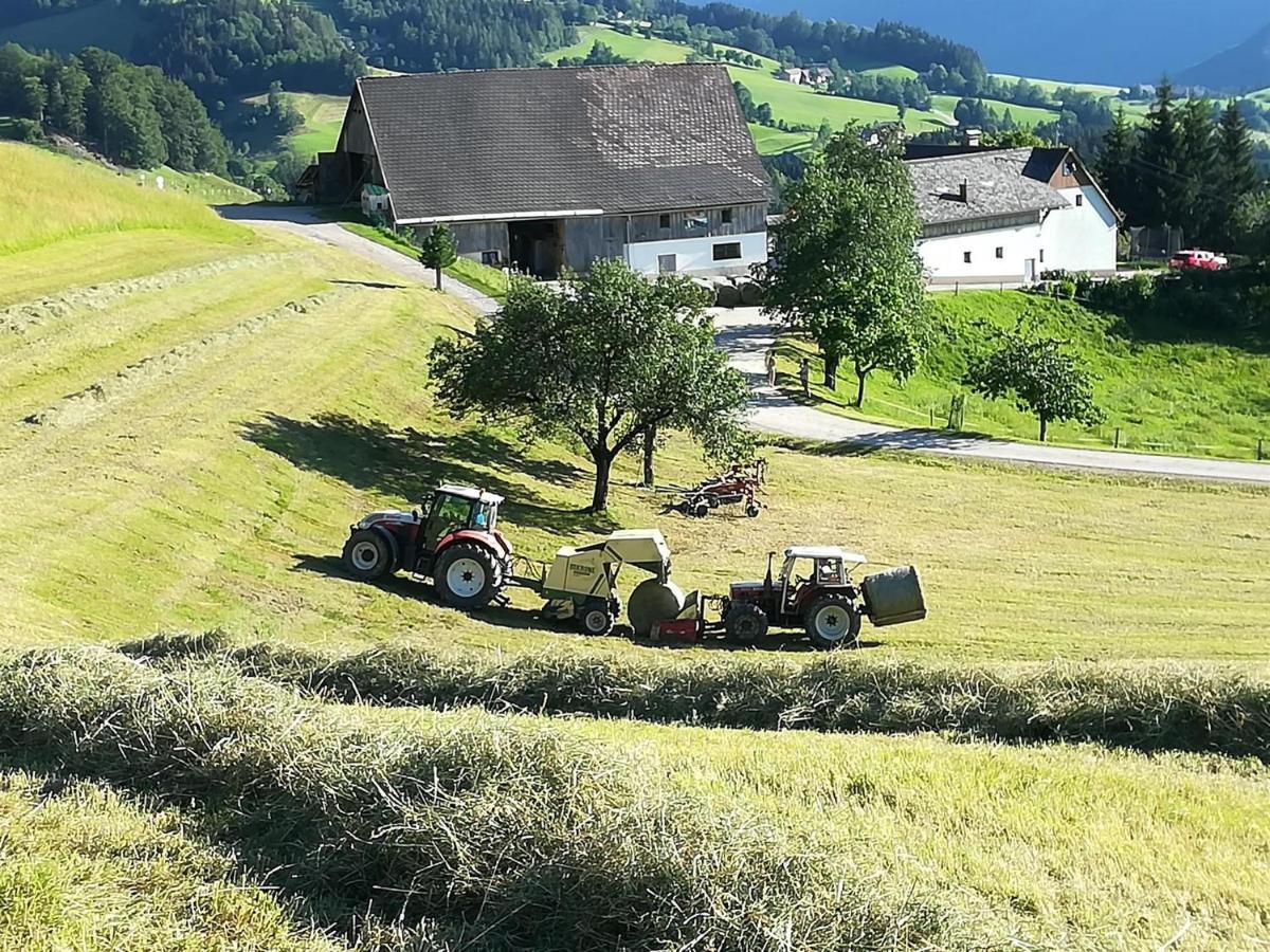 Familienbauernhof Imitz, Ferienwohnung Spital Am Pyhrn Exterior foto