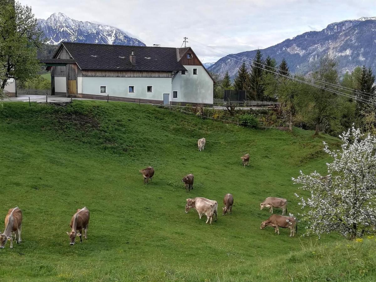 Familienbauernhof Imitz, Ferienwohnung Spital Am Pyhrn Exterior foto