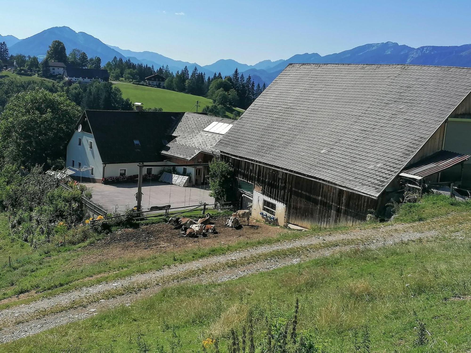 Familienbauernhof Imitz, Ferienwohnung Spital Am Pyhrn Exterior foto